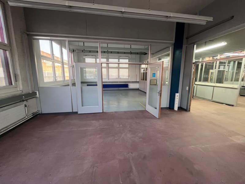 Large empty room with white walls, brown floor, several large windows, white doors.