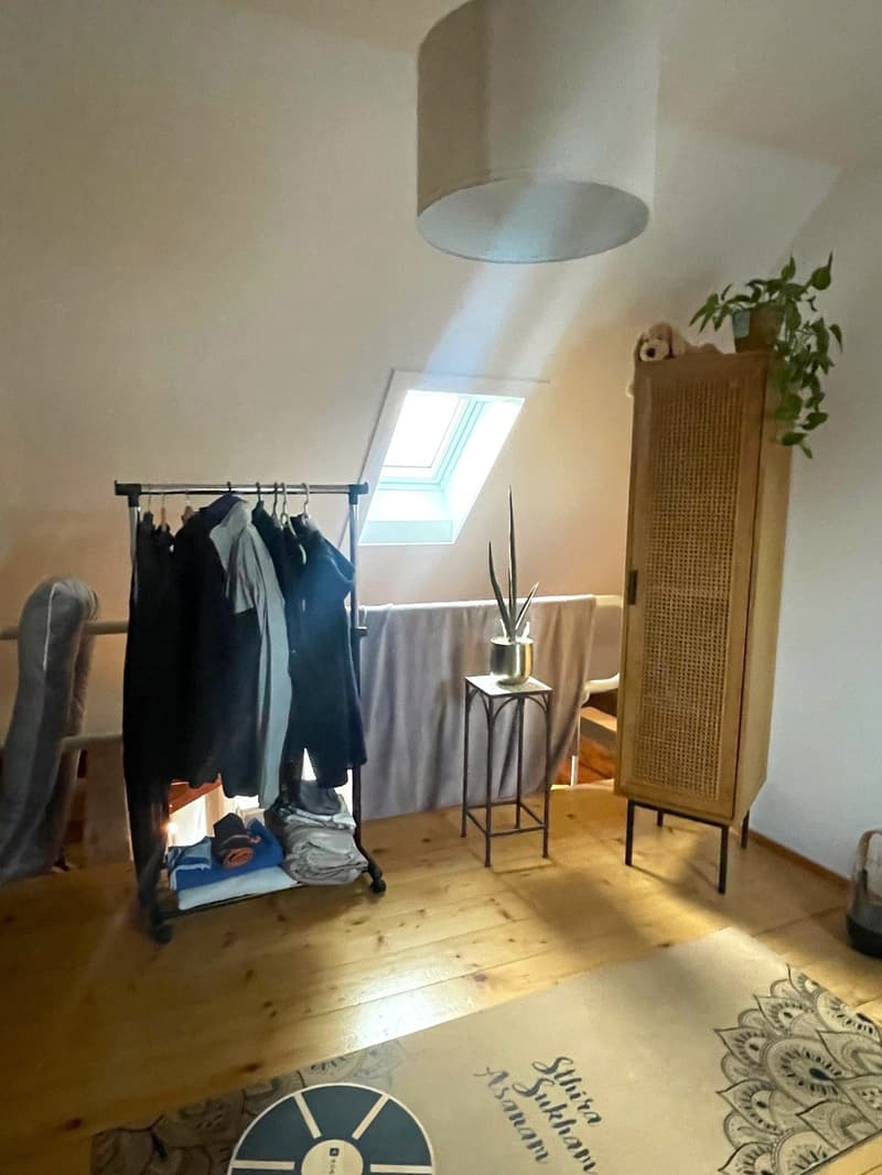 Charmante Dachwohnung im Herzen von Solothurn (5)
