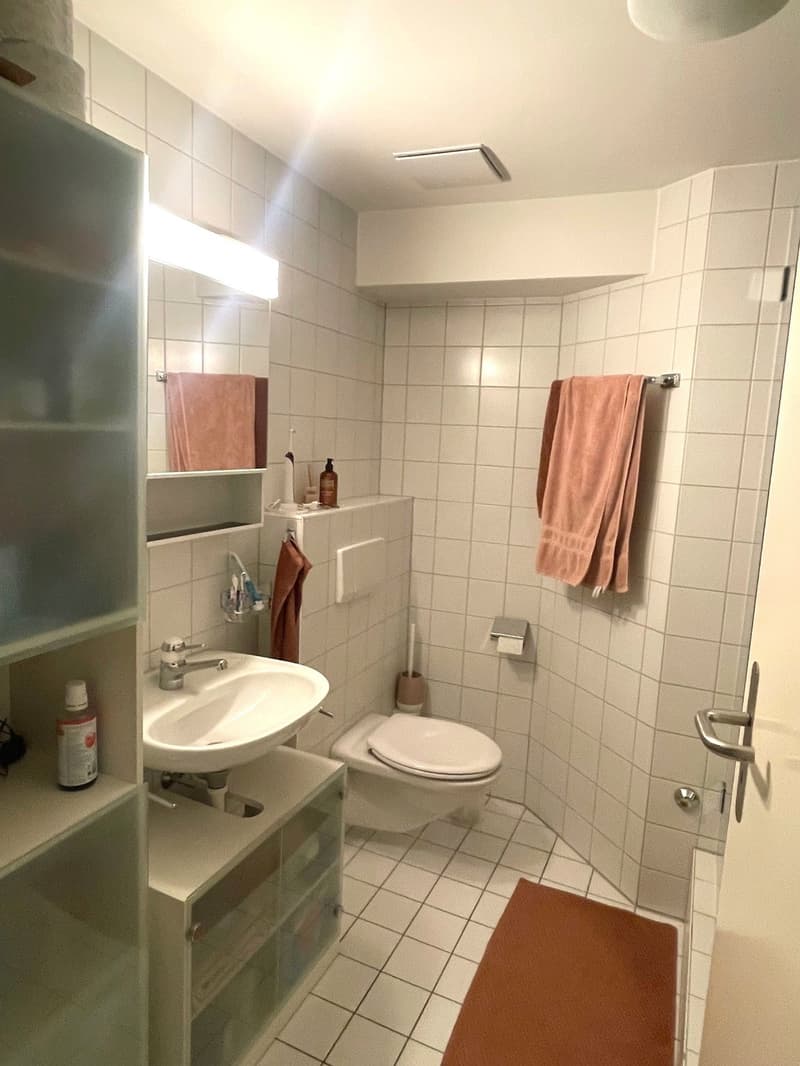 Charmante Dachwohnung im Herzen von Solothurn (6)