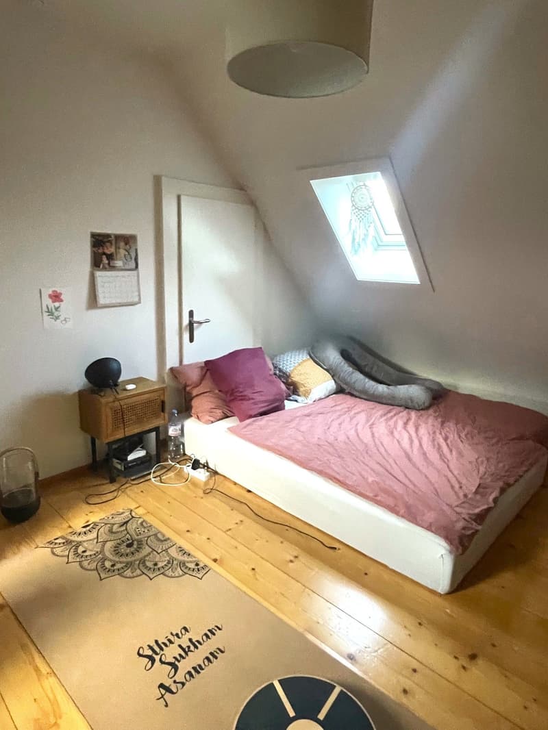 Charmante Dachwohnung im Herzen von Solothurn (4)