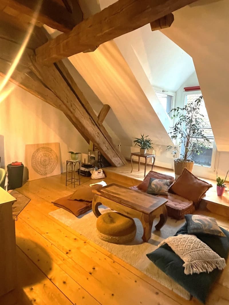 Charmante Dachwohnung im Herzen von Solothurn (3)