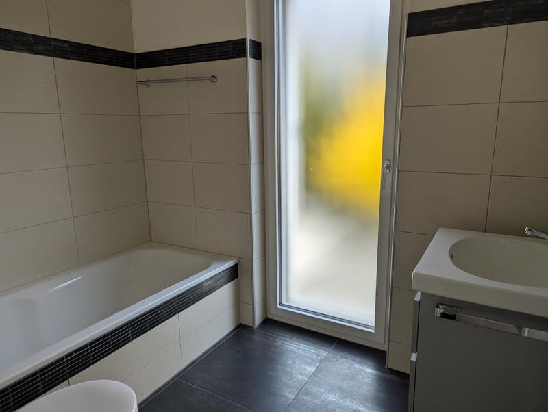 Modernes 5-Zimmer-Einfamilienhaus mit Garten (8)