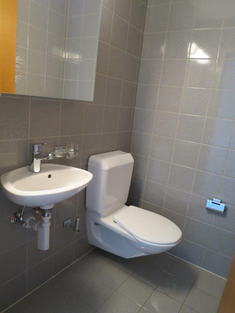 attraktive  3.5 Zimmer-Wohnung (6)