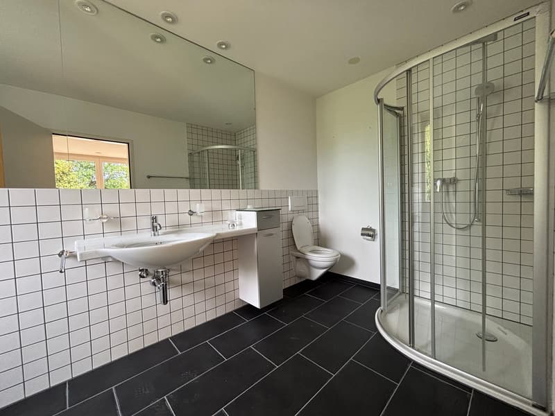 Einzigartige 4.5-Zimmer-Attikawohnung im Steingrubenquartier (8)