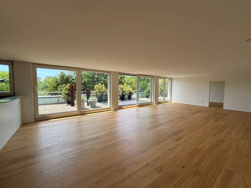 Einzigartige 4.5-Zimmer-Attikawohnung im Steingrubenquartier (3)