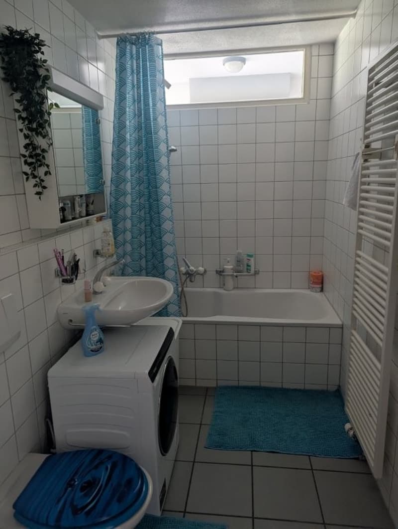 Charmante 2 Zimmerwohnung (5)