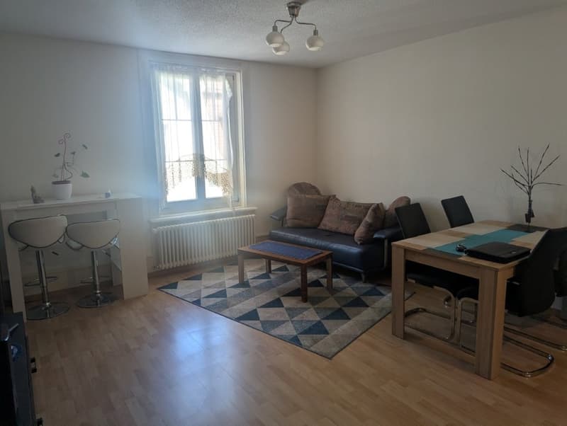 Charmante 2 Zimmerwohnung (2)