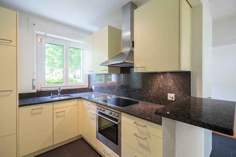 Charmante 3-Zimmer-Wohnung mit Garten in Solothurn (3)