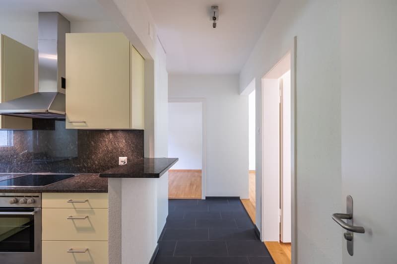 Charmante 3-Zimmer-Wohnung mit Garten in Solothurn (2)