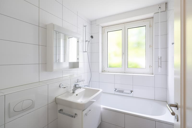 Charmante 3-Zimmer-Wohnung mit Garten in Solothurn (8)