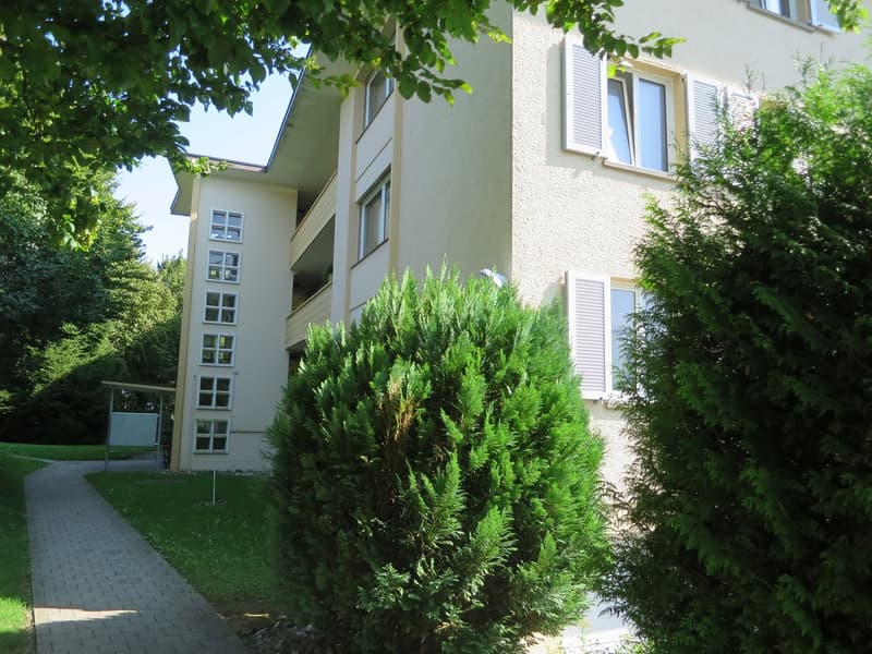 Gemütliche 2.5-Zimmer-Wohnung mit Balkon in Grenchen (7)