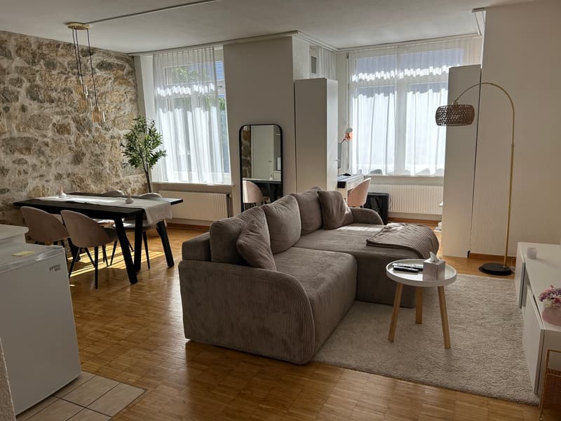 Charmante 2-Zimmer-Wohnung im Altbau an zentraler Lage in Solothurn (3)