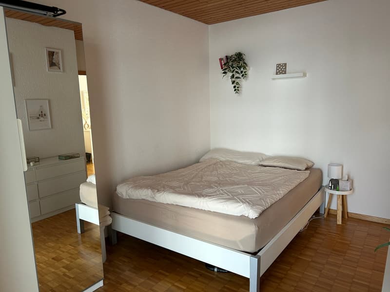 Charmante 2-Zimmer-Wohnung im Altbau an zentraler Lage in Solothurn (5)