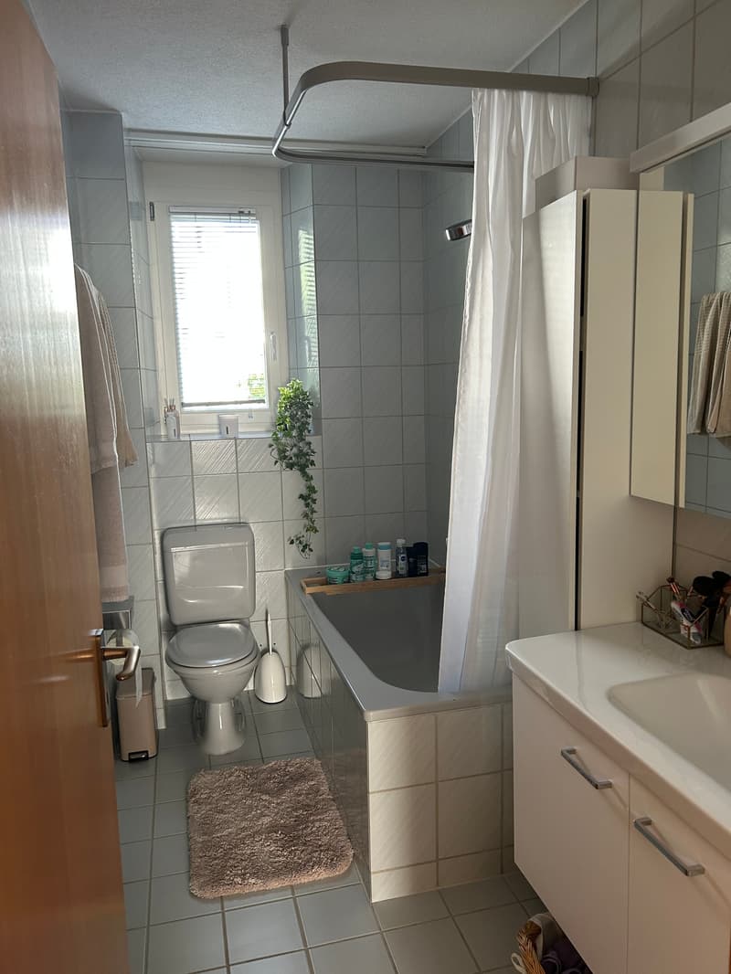 Charmante 2-Zimmer-Wohnung im Altbau an zentraler Lage in Solothurn (6)