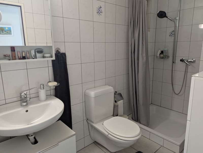 4.5 Zimmer mit 125 m² und Aussenflächen in drei Himmelsrichtungen (8)