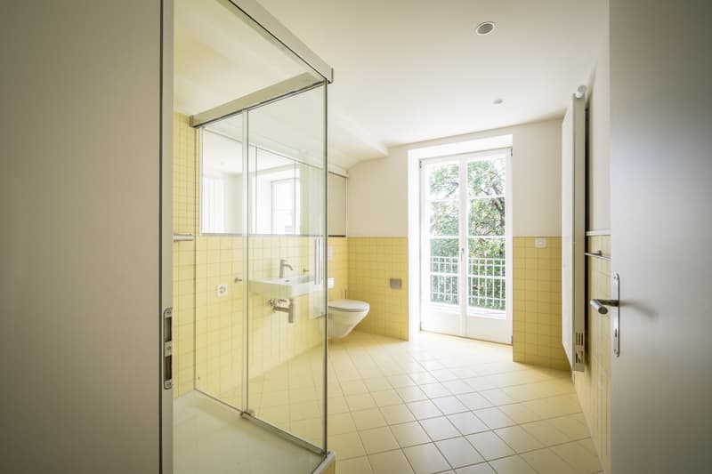 Einzigartige 5.5-Zimmer-Maisonettewohnung (12)