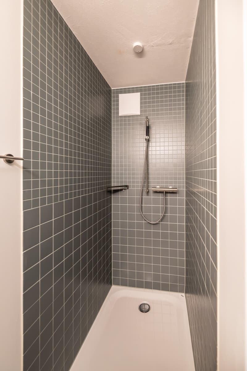 Einzigartiges Duplex-Wohnatelier mit Eigenheimcharakter (9)