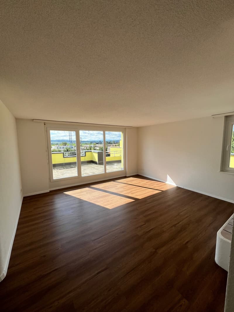 Grosszügige 4.5-Zimmer-Dachwohnung mit Riesenterrasse (5)