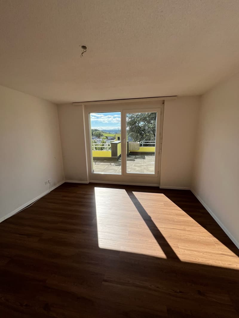 Grosszügige 4.5-Zimmer-Dachwohnung mit Riesenterrasse (6)