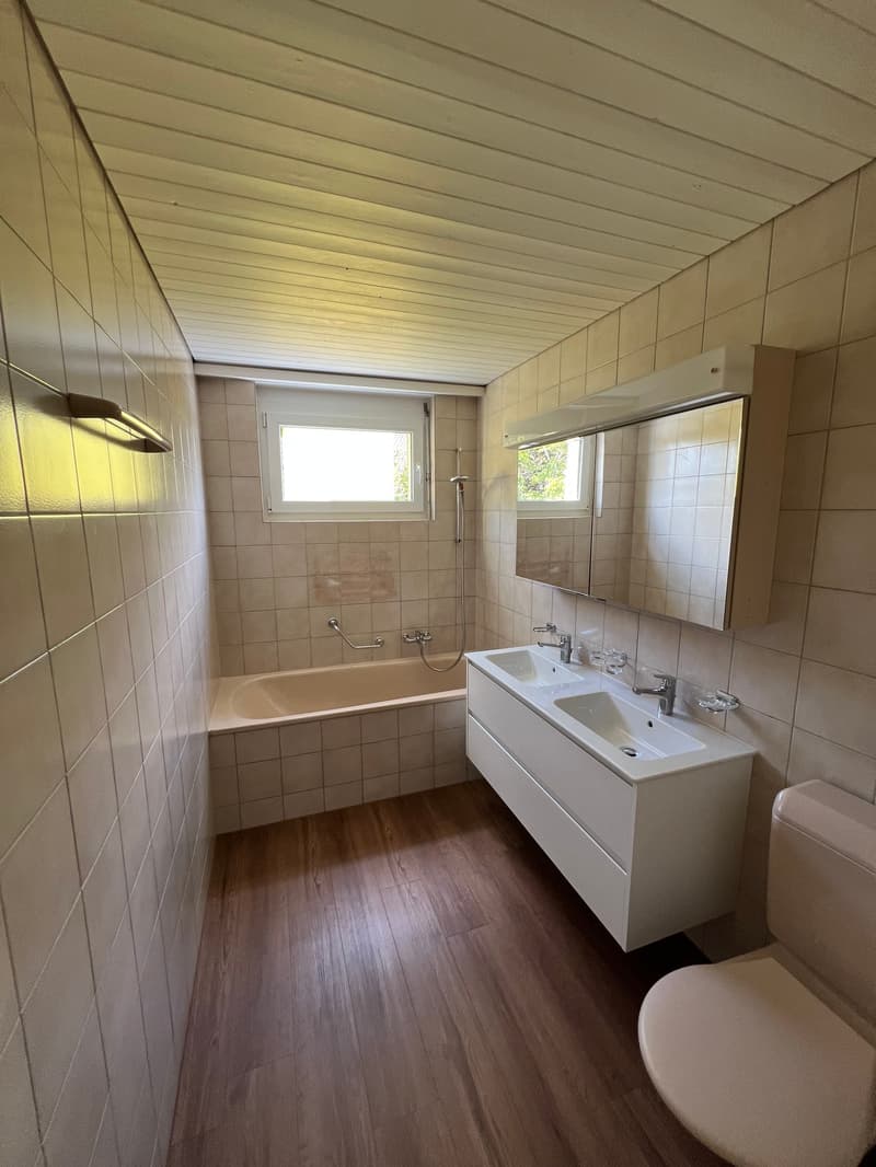 Grosszügige 4.5-Zimmer-Dachwohnung mit Riesenterrasse (12)