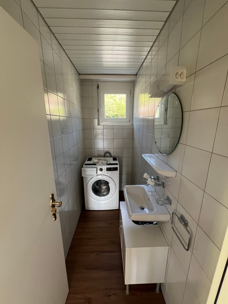 Grosszügige 4.5-Zimmer-Dachwohnung mit Riesenterrasse (13)