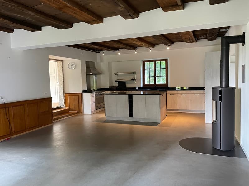 3.5 Zimmerwohnung in der ehemaligen 'Oeschbrücke' (1)
