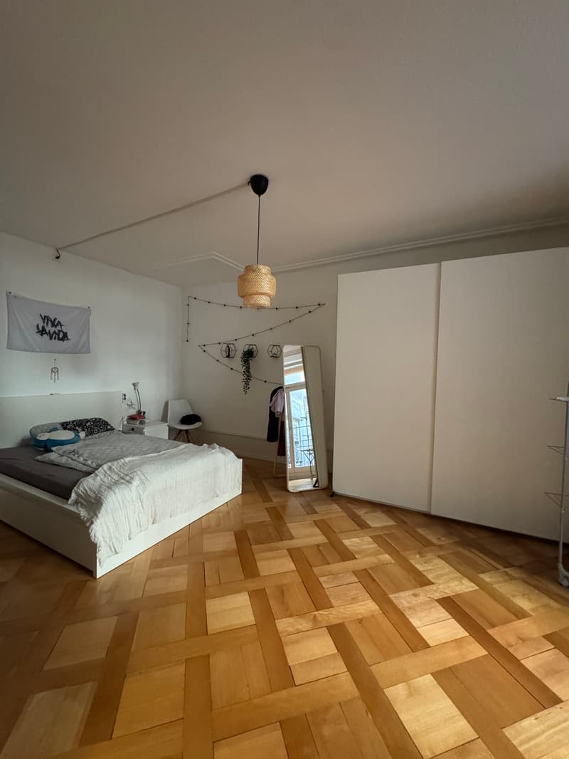 Charmante 2-Zimmer-Wohnung im Herzen von Solothurn (4)
