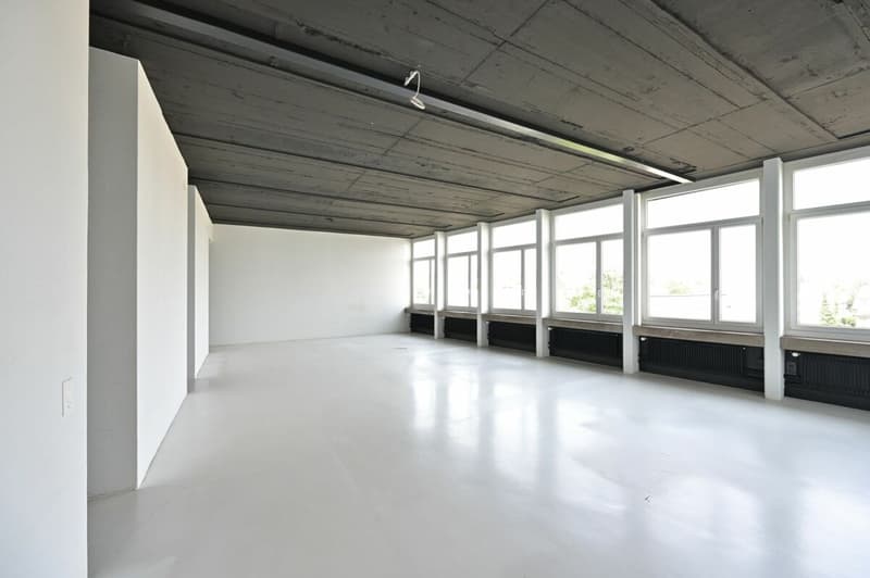 Nous avons un nouveau superbe espace de bureau / commercial à louer dans un emplacement de premier choix. (6)