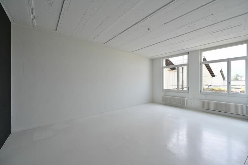 Nous avons un nouveau superbe espace de bureau / commercial à louer dans un emplacement de premier choix. (5)