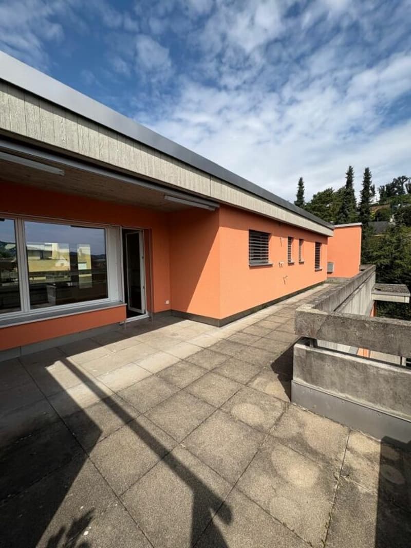 Appartamento penthouse di 3,5 locali nel cuore di Reinach (4)