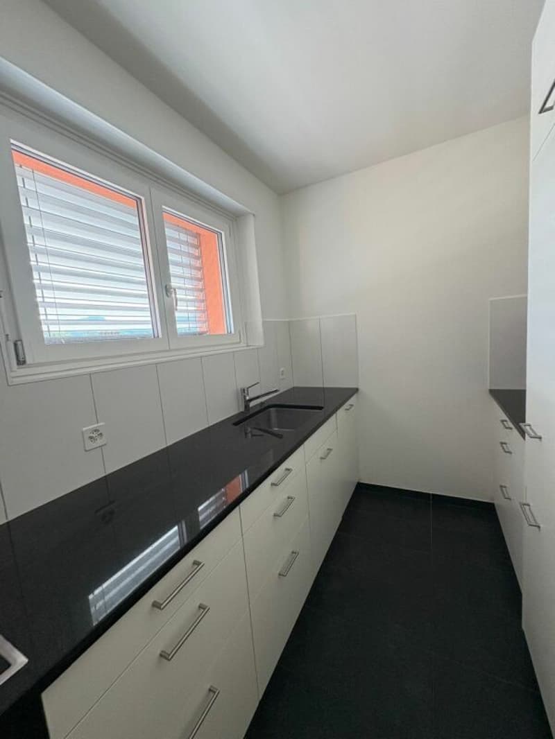 Appartamento penthouse di 3,5 locali nel cuore di Reinach (5)