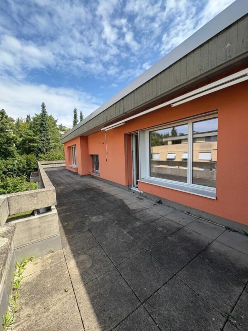Appartamento penthouse di 3,5 locali nel cuore di Reinach (3)