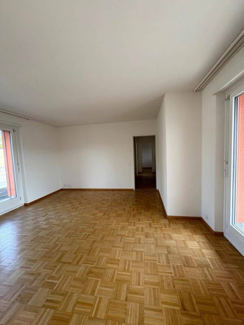 Appartamento penthouse di 3,5 locali nel cuore di Reinach (9)