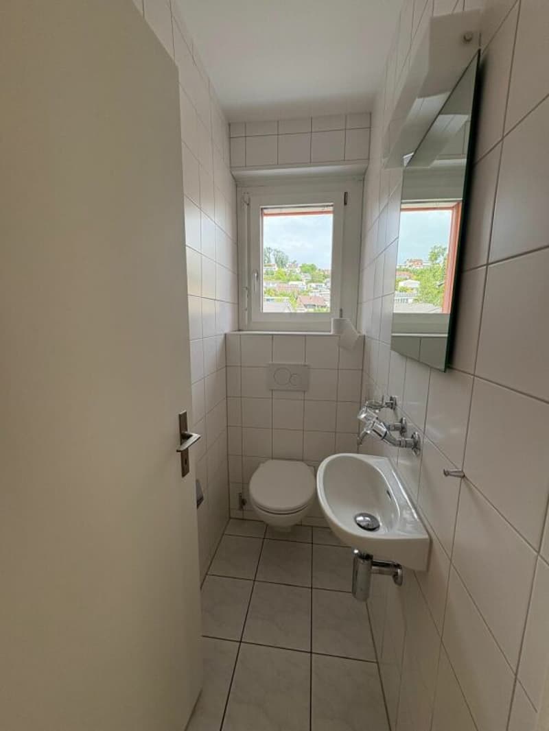 Dachterrassenwohnung mitten in Reinach mit Cheminée (9)