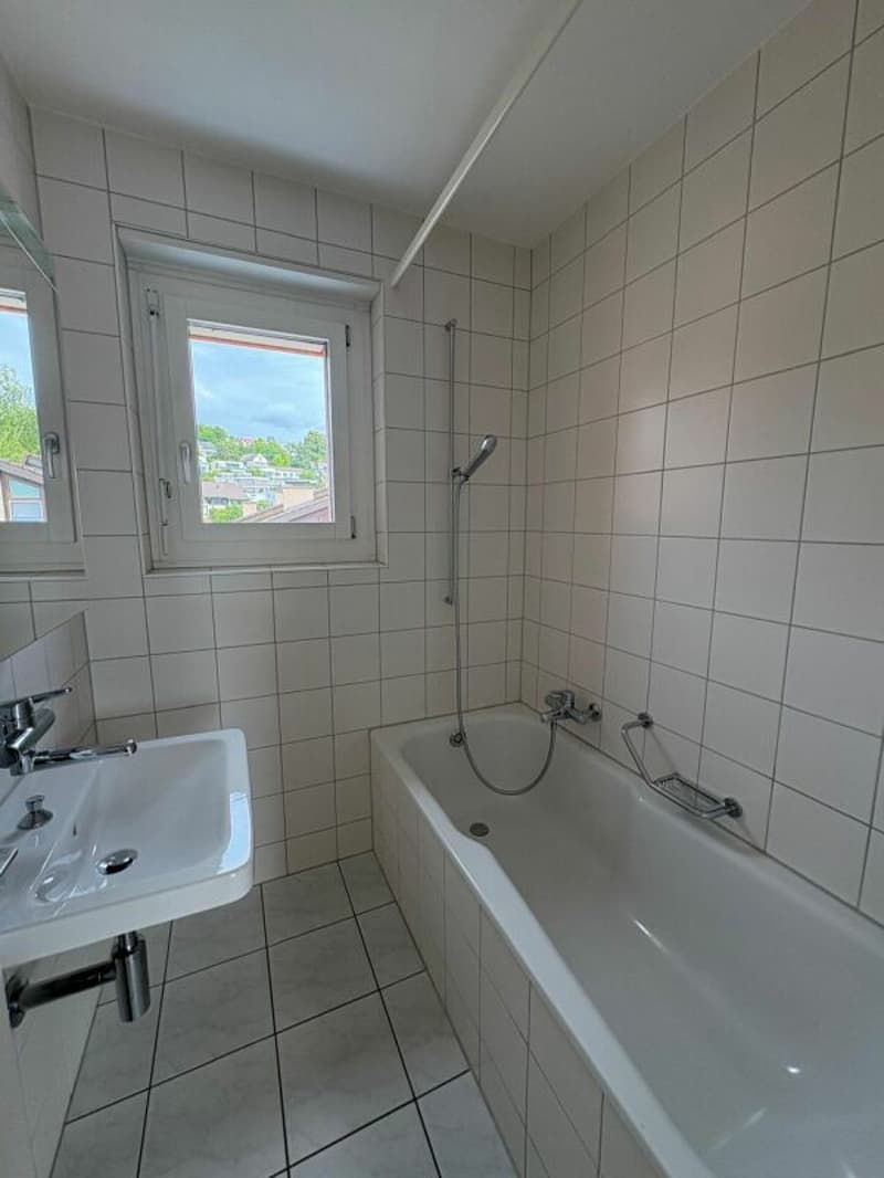 Dachterrassenwohnung mitten in Reinach mit Cheminée (8)