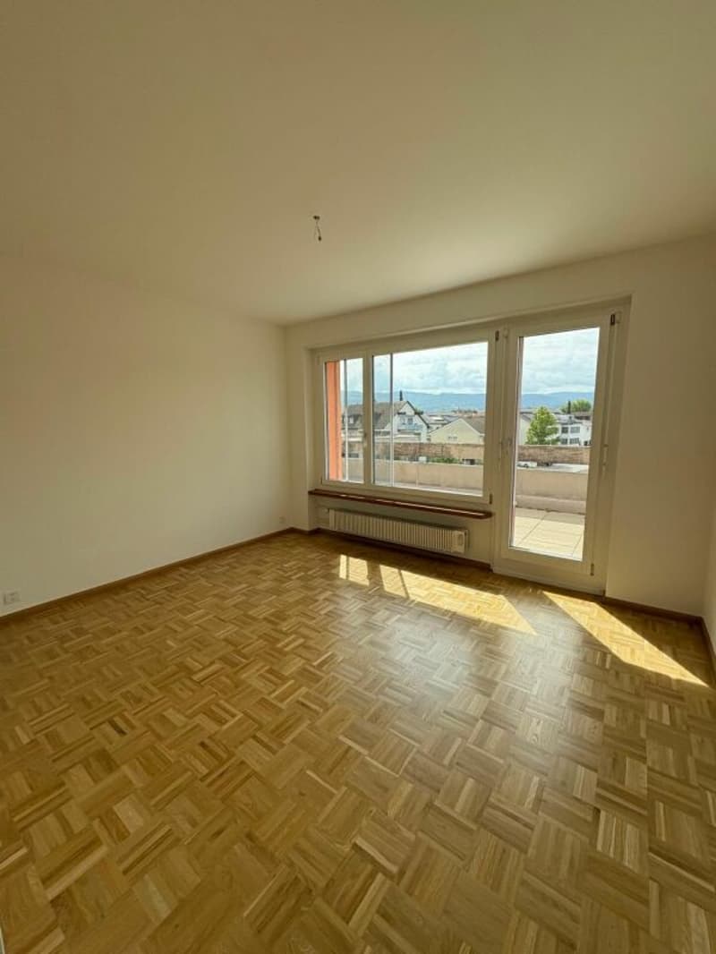 Dachterrassenwohnung mitten in Reinach mit Cheminée (10)