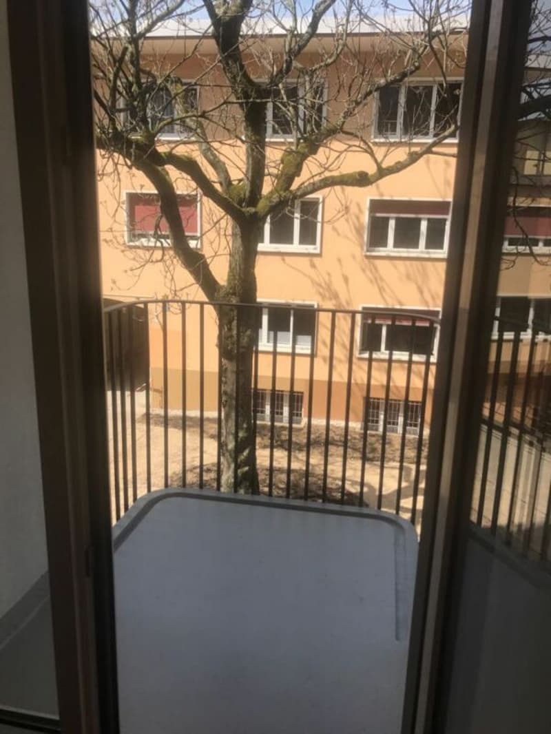 Charmante, sanierte 2-Zimmerwohnung - mitten in Basel (4)