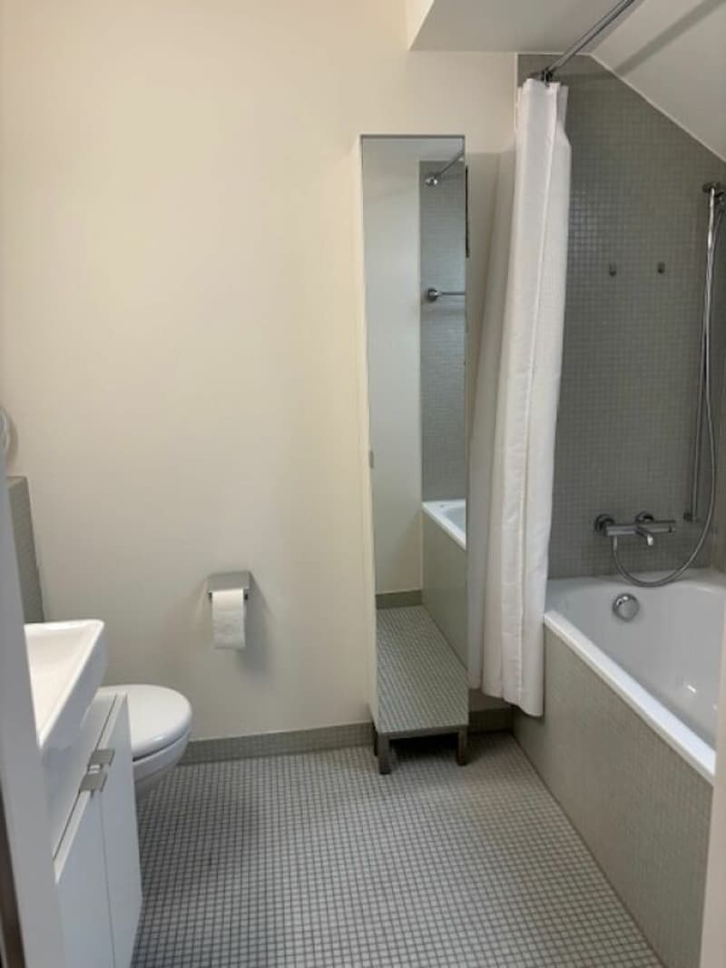 Moderne 3.5-Zimmerwohnung «am Ring» in Basel zu vermieten (7)