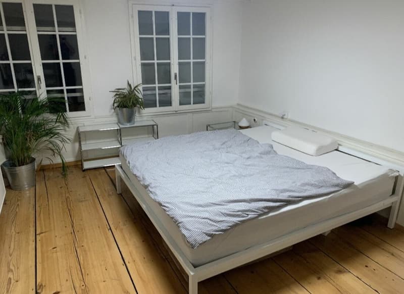 Charaktervolle Maisonette-Dachwohnung mitten in der Basler Altstadt - Befristet bis Ende Februar 2027 (3)