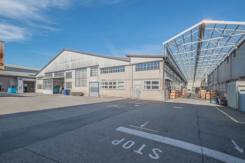 Hochregallager sowie Produktionsfläche/Werkstatt im ehemaligen Mowag-Areal (3)