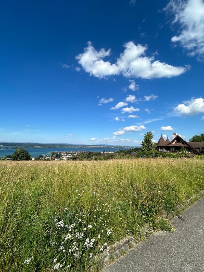 Bauland an ruhiger Lage mit Seesicht (4)