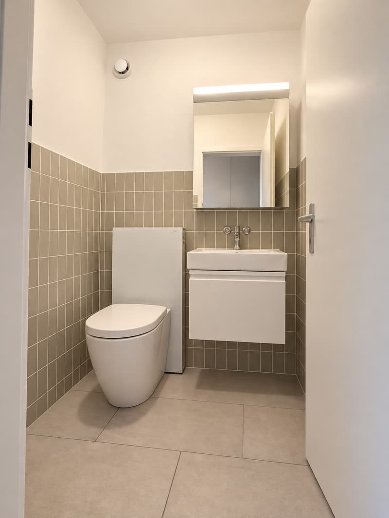Erstbezug nach Renovation – grosszügige 4½-Zimmer-Wohnung im Grünen (8)