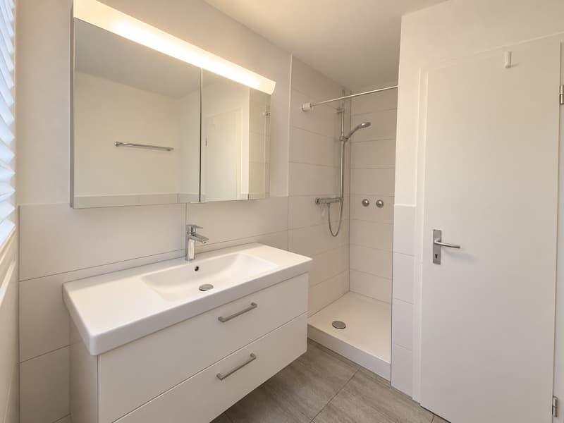 Erstbezug nach Renovation – grosszügige 4½-Zimmer-Wohnung im Grünen (7)