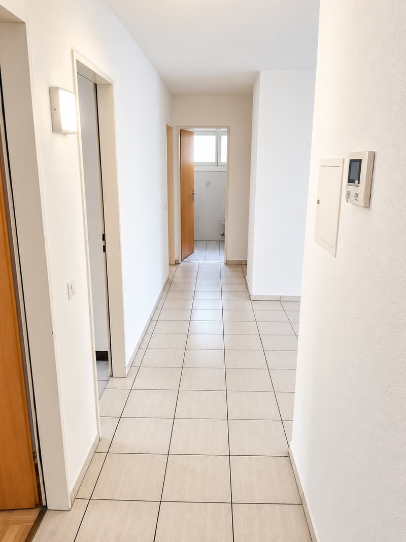 Bello e grande appartamento di 4 locali in affitto (11)