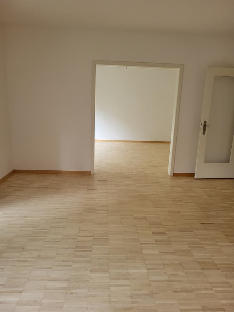Modern 3-room apartment with balcony in Biel (9)
