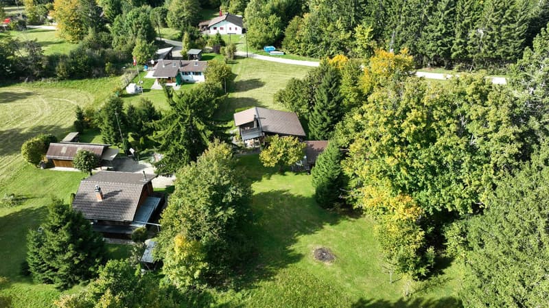6 separate wooden chalets with terrace, fireplace, surrounded by trees and greenery