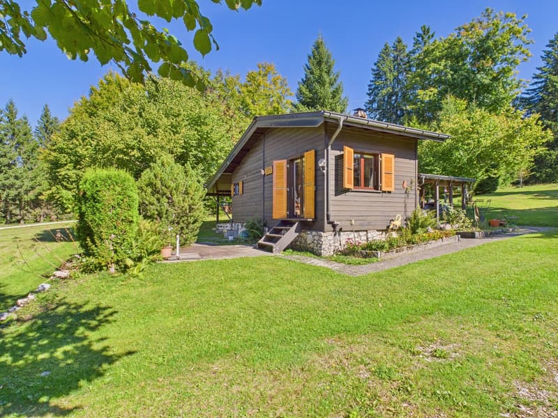 Detached house, wooden exterior, yellow shutters, covered porch, green lawn, surrounded by trees