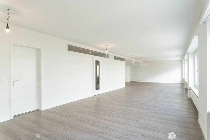 Empty room with white walls, wooden floor, and ceiling lights