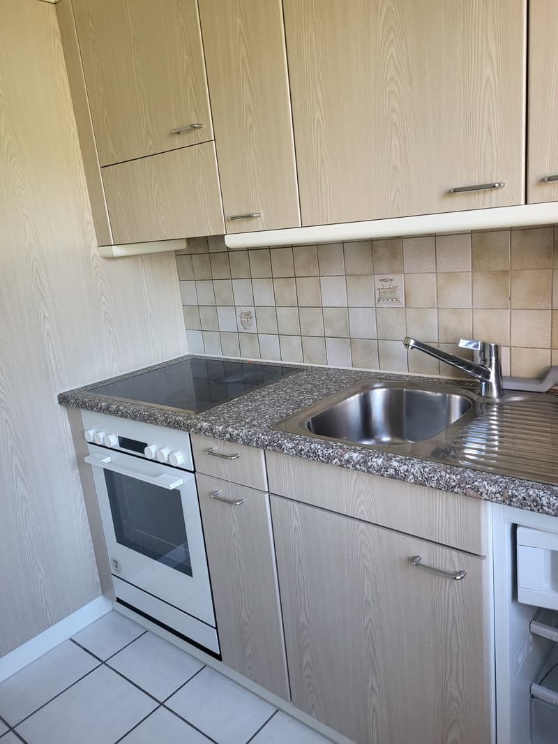 Charmante 2.5-Zimmer-Wohnung in Nidau mit Balkon (7)