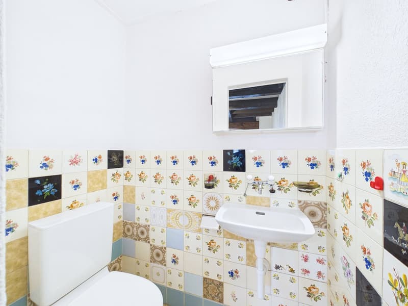 Historische Perle mit einer Einliegerwohnung und Ausbaupoteintial (10)